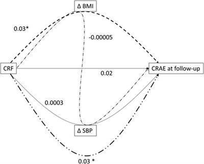 Cardiorespiratory fitness and development of childhood cardiovascular risk: The EXAMIN YOUTH follow-up study